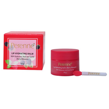 https://cdn.shopify.com/s/files/1/1857/6931/files/ZQTUiesCI8.png?v=1726061038